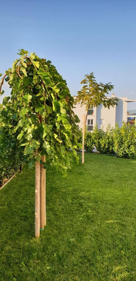 Sea View Apartments Жаборич Екстериор снимка